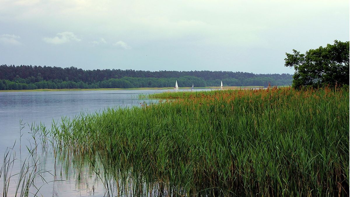 Jezioro Nidzkie leży na południowym końcu Krainy Wielkich Jezior Mazurskich