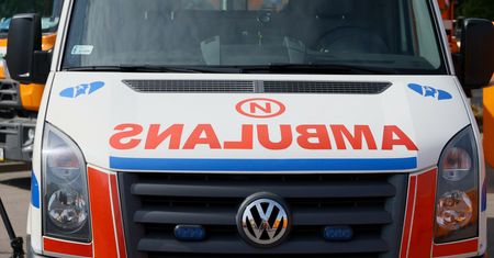 Osy zabiły pana Grzegorza. Zrozpaczona żona apeluje