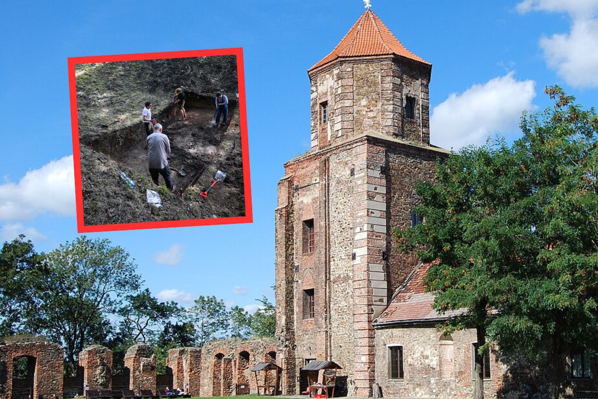 Archeolodzy znaleźli je w Toszku. Od wieków leżały w fosie przy zamku