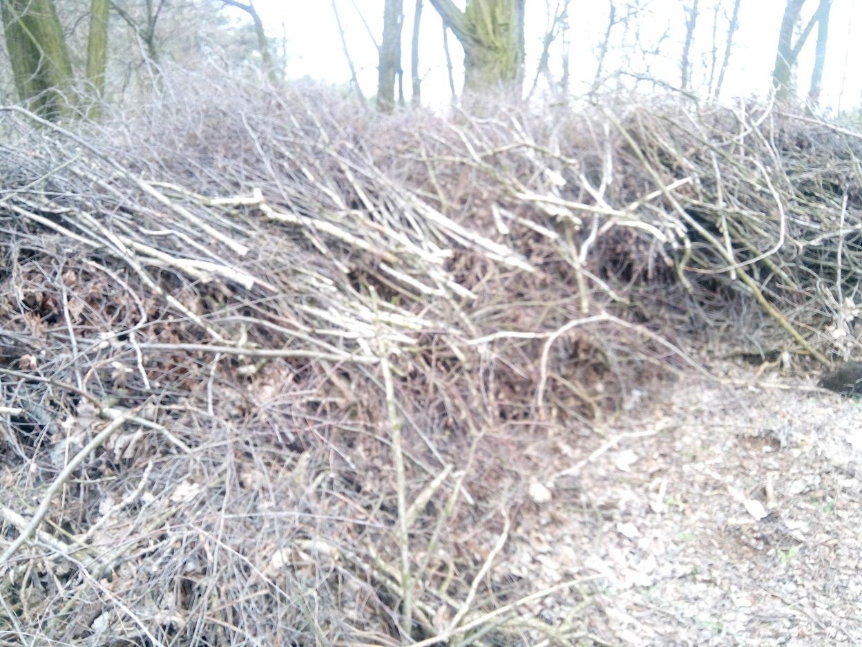 Test Kiano Elegance 5.1 Pro – smartfonu za 500+ z tylko jedną wadą 9