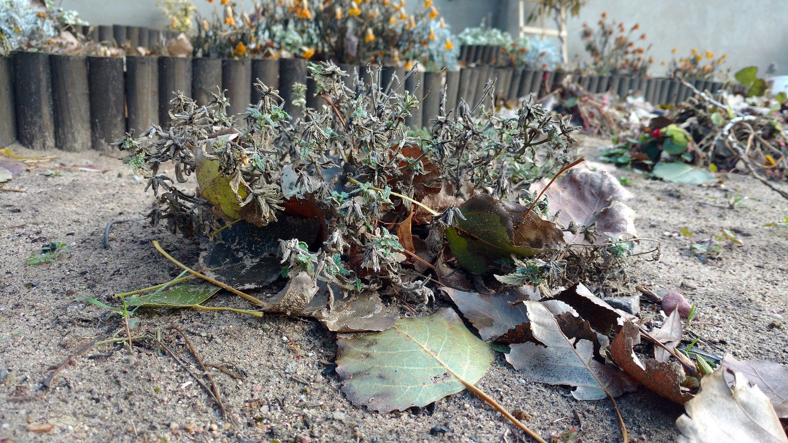 Test Moto X Play – Motorola otarła się o doskonałość i to w średniej klasie 12