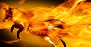 Mozilla zmienia Firefox Sync - będą problemy z kompatybilnością