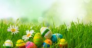 Wesołych Świąt Wielkiej Nocy!