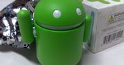 Projekt Android Silver zawieszony. Fani Nexusów mogą odetchnąć z ulgą