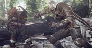 Nowa galeria z Wiedźmina 3: Dzikiego Gonu