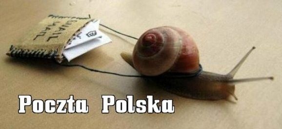 Po co się męczyć?