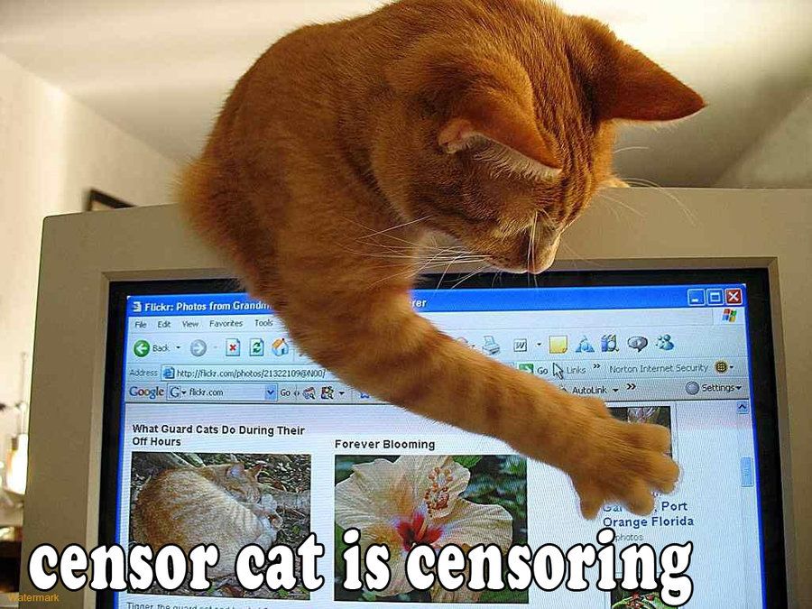 http://img04.deviantart.net/93d5/i/2010/300/b/f/censor_cat_by_doom1272-d31m7bo.jpg