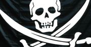 Brytyjska policja sięga po kolejne sposoby walki z piratami. Tym razem wykorzysta przeciw nim reklamy