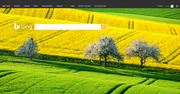 Bing pokaże prawa autorskie obrazów i pomoże zrobić zakupy