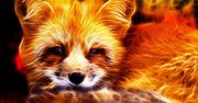 Firefox będzie wymagał jeszcze mniej pamięci operacyjnej