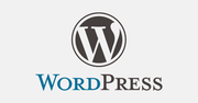 Google Publisher Plugin – gigant wreszcie dostrzegł Wordpressa
