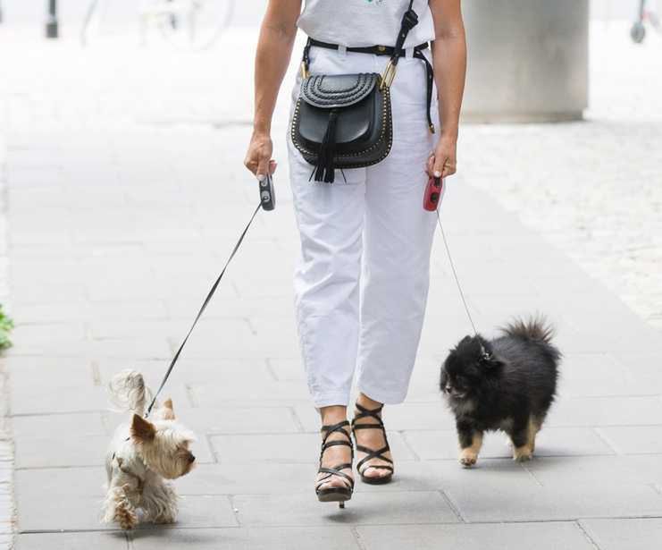 29.06.2019 Warszawa Kinga Rusin w letniej stylizacji z psami N/z  fot Artur Zawadzki/REPORTER