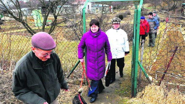 Ludzie zapowiadają walkę o swoje ogródki. Miasto twierdzi, że nie działa przeciwko nim