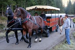 Hybrydowe zaprzęgi podczas testów w Zakopanem