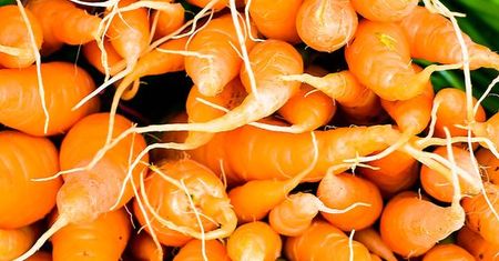 10 rzeczy, których nie wiesz o marchewce