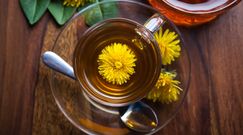 Herbatka z mniszka wspomoże twoją wątrobę 