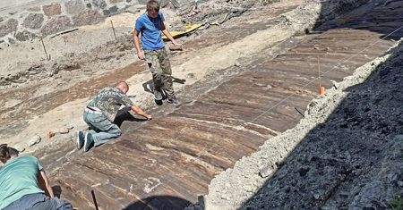 Prawdziwą perełkę archeologiczną odkryto w jednej z wielkopolskich miejscowości.