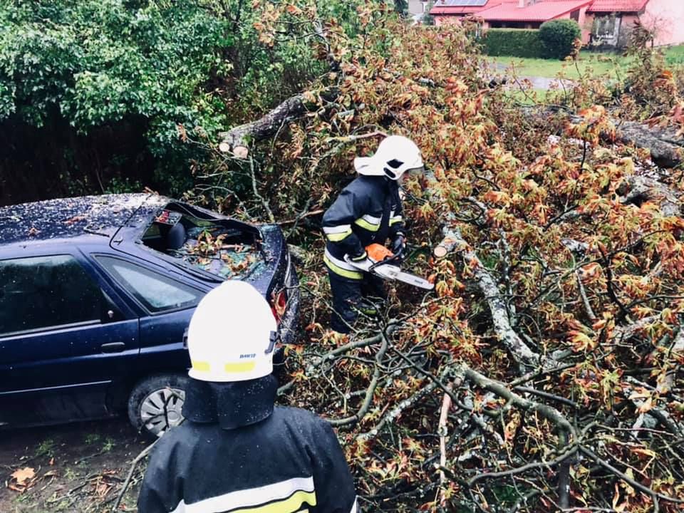 Liczne interwencje straży. Drzewo spadło na samochód