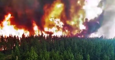 Pożary znów dają o sobie znać. Kamera nagrała, jak ogień zabiera tysiące drzew