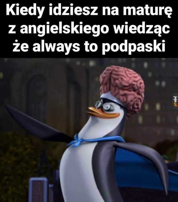 Matura z języków obcych 2024: MEMY, które rozbawią Cię do łez!