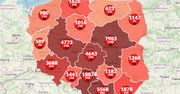 Koronawirus w Polsce. Blisko 600 nowych przypadków. Oto mapa zakażeń