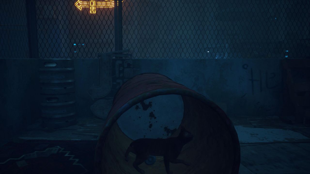 Stray