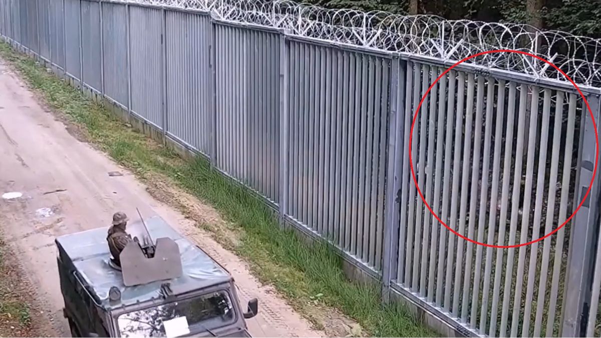 Straż graniczna zaprezentowała nagranie z granicy polsko-białoruskiej