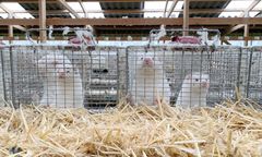 Koronawirus. Dania ogłasza częściowy lockdown. "Nie chcemy być drugim Wuhan"