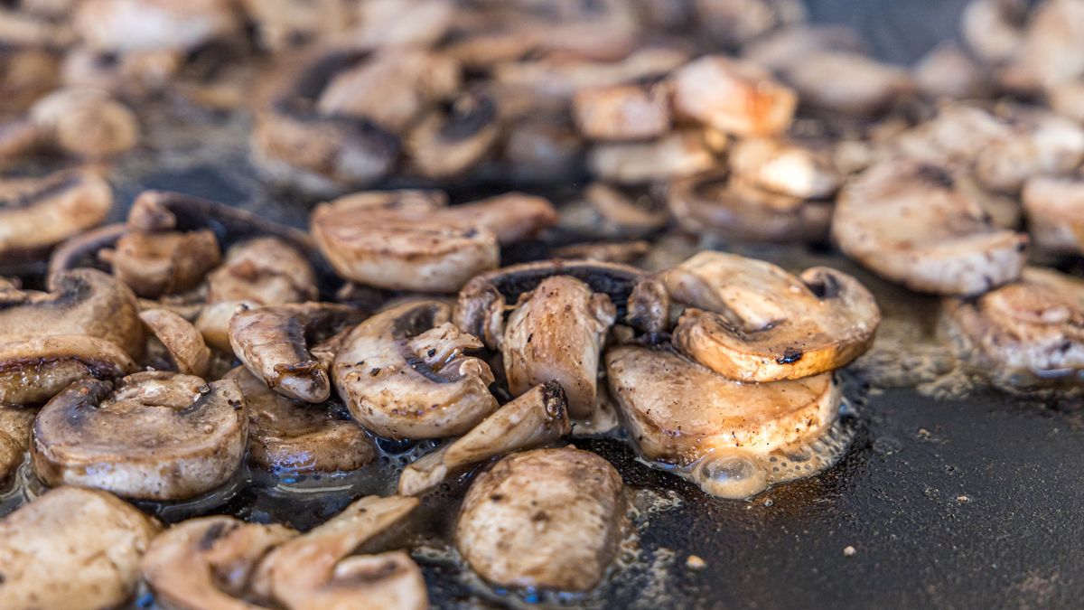 sauteed mushroom slices on an outdoor griddle propane grill in the summer
Sliced sauteed mushroom slices on an outdoor griddle propane grill in the summer
ucpage