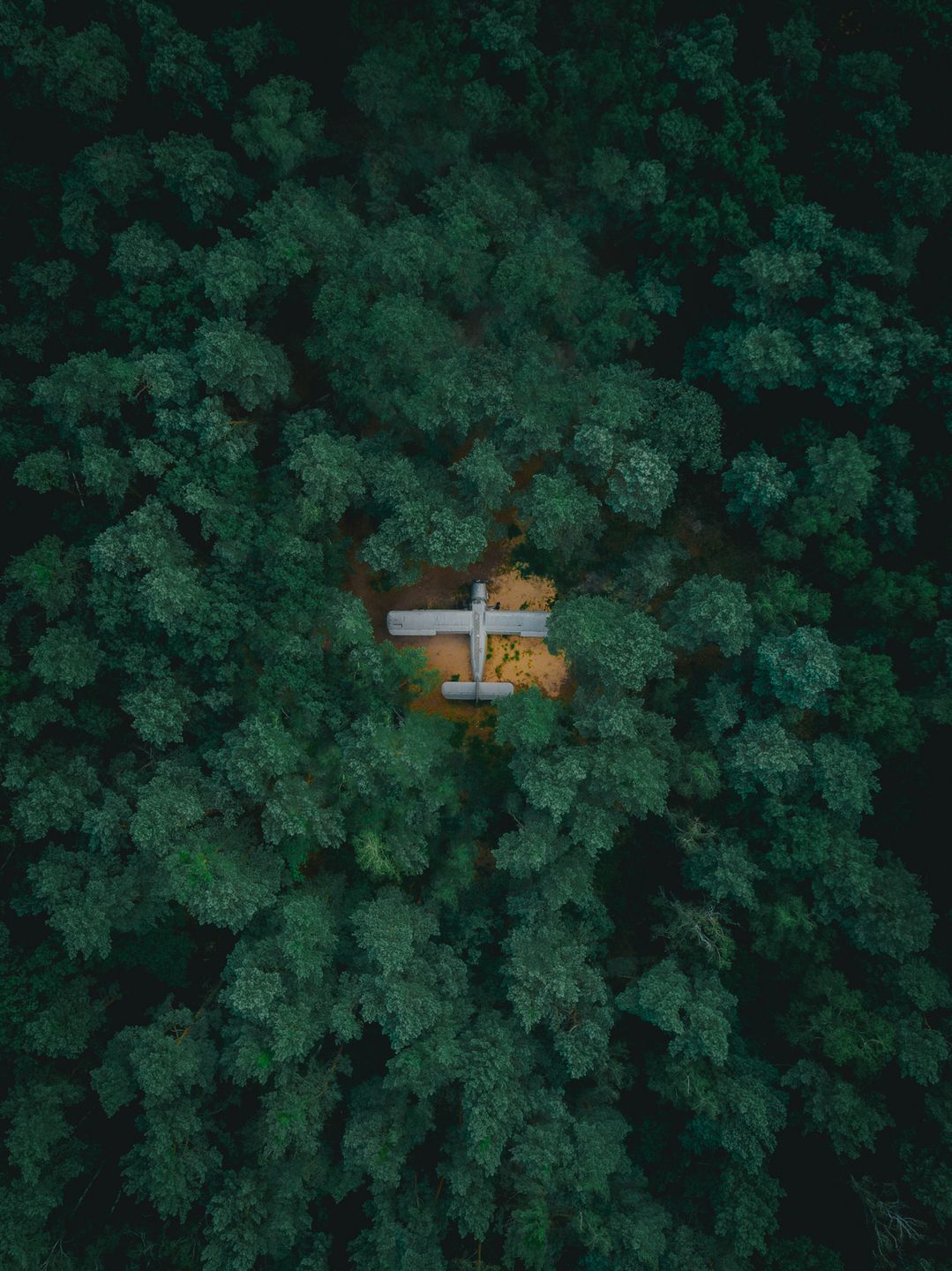 Antonow An-2 ukryty w podwarszawskim lesie. Znalazł go Damian Stęporowski 2