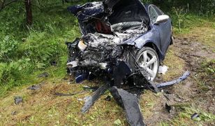 Makabra w Stalowej Woli. Nowe informacje ws. sprawcy