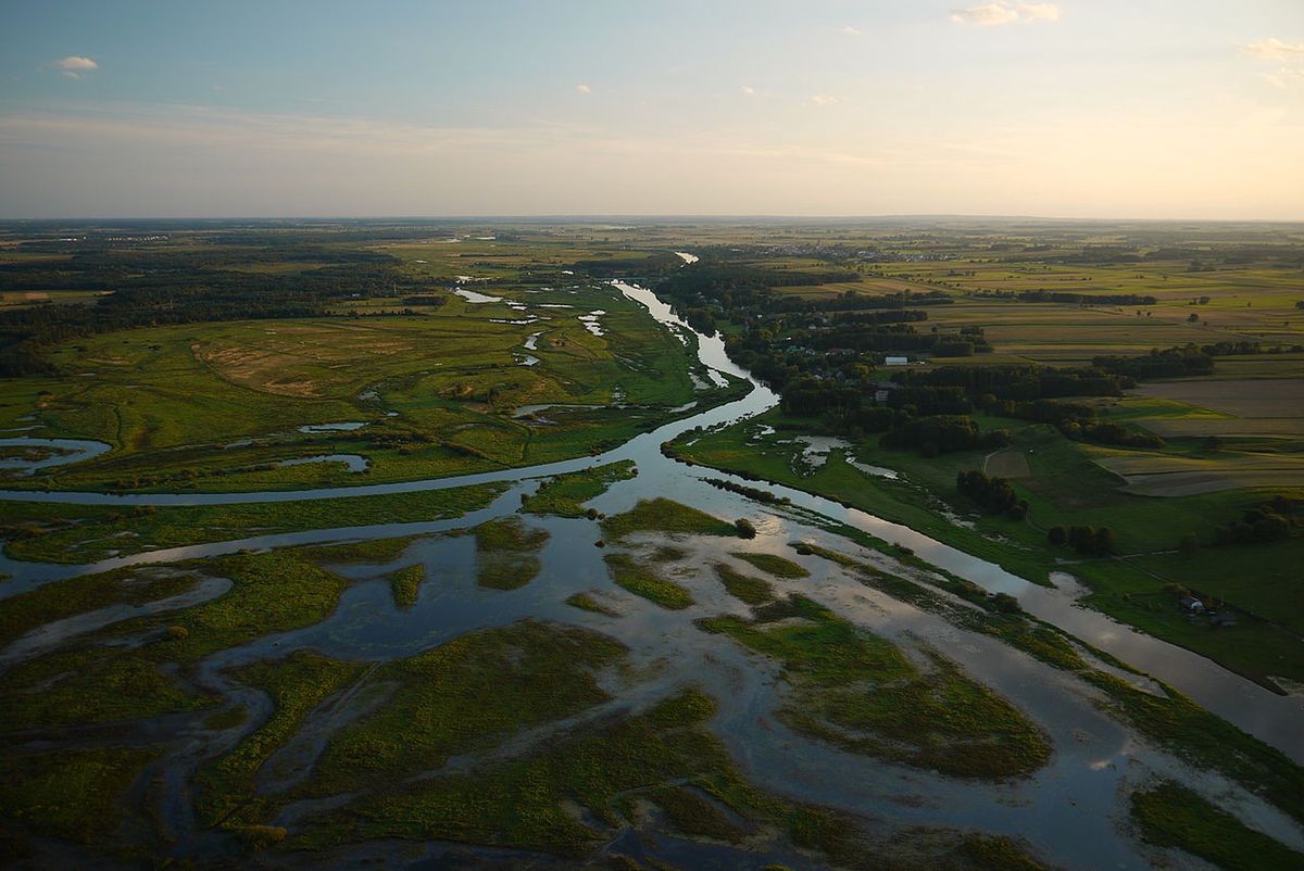 Річка Нарев