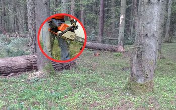 Zginął przy wycince. Media: To kolejna taka tragedia w rodzinie