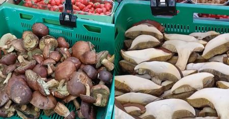 Poszedł na bazar w Warszawie. Nagle aż chwycił za telefon