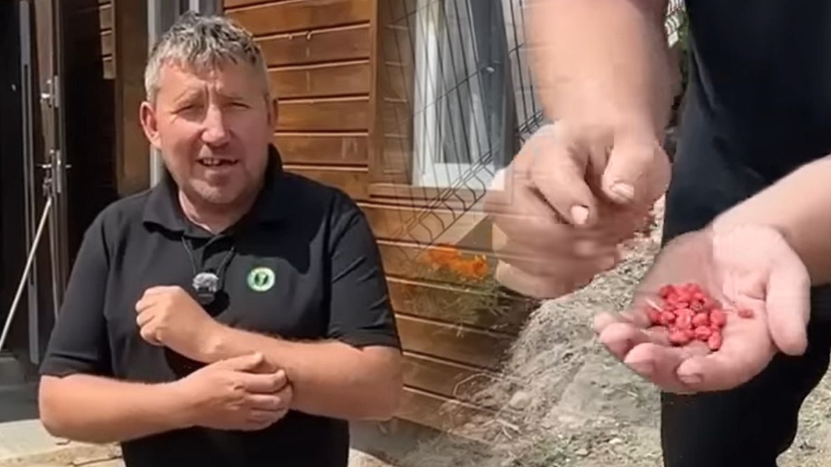 Eksperyment w ogrodzie Andrzeja z Plutycz z "Rolnicy. Podlasie"