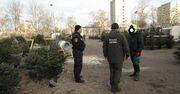 Akcja choinka - Strażnicy Miejscy i Leśnicy kontrolują sprzedawców choinek