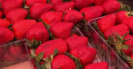 Czym różnią się truskawki polskie od zagranicznych?