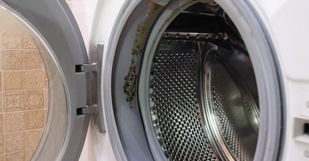 Wystarczą dwa składniki. Tak ochronisz pralkę przed pleśnią