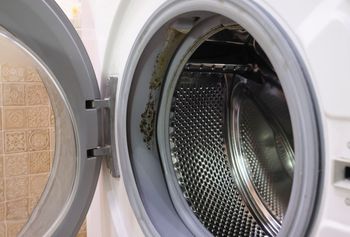 Wystarczą dwa składniki. Tak ochronisz pralkę przed pleśnią