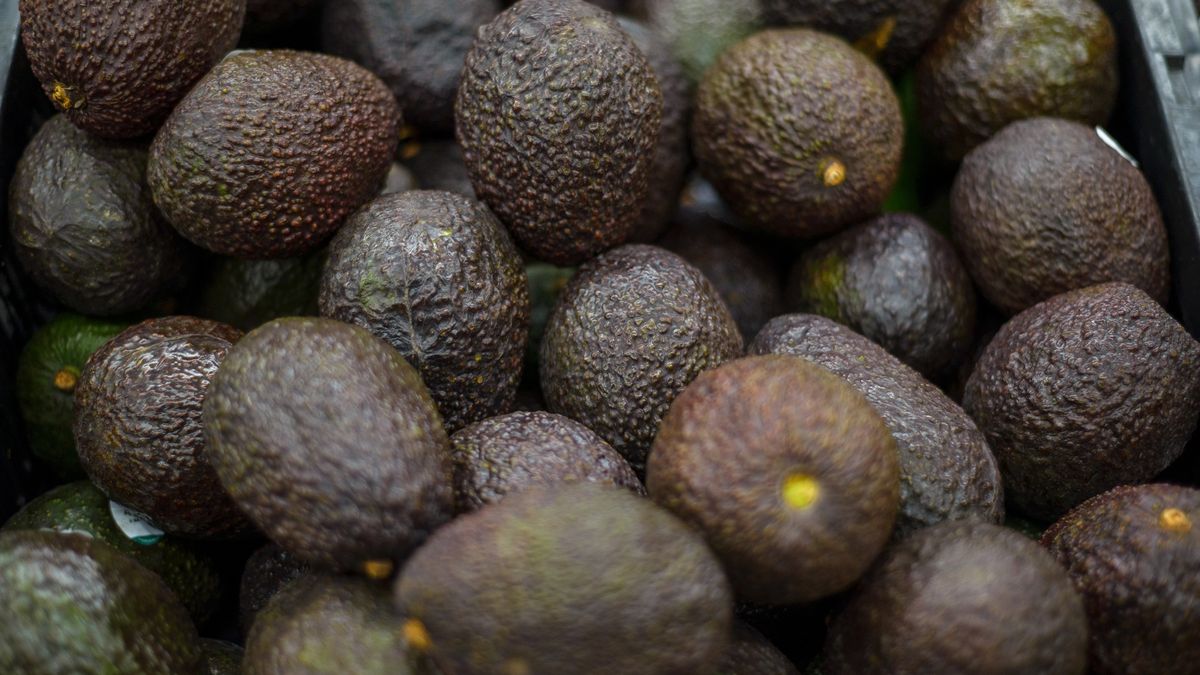 Tyle awokado warto jeść w tygodniu