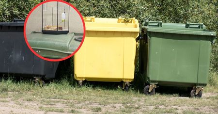 Znalazła je na śmietniku w Poznaniu. "Co ludzie mają w głowach?"