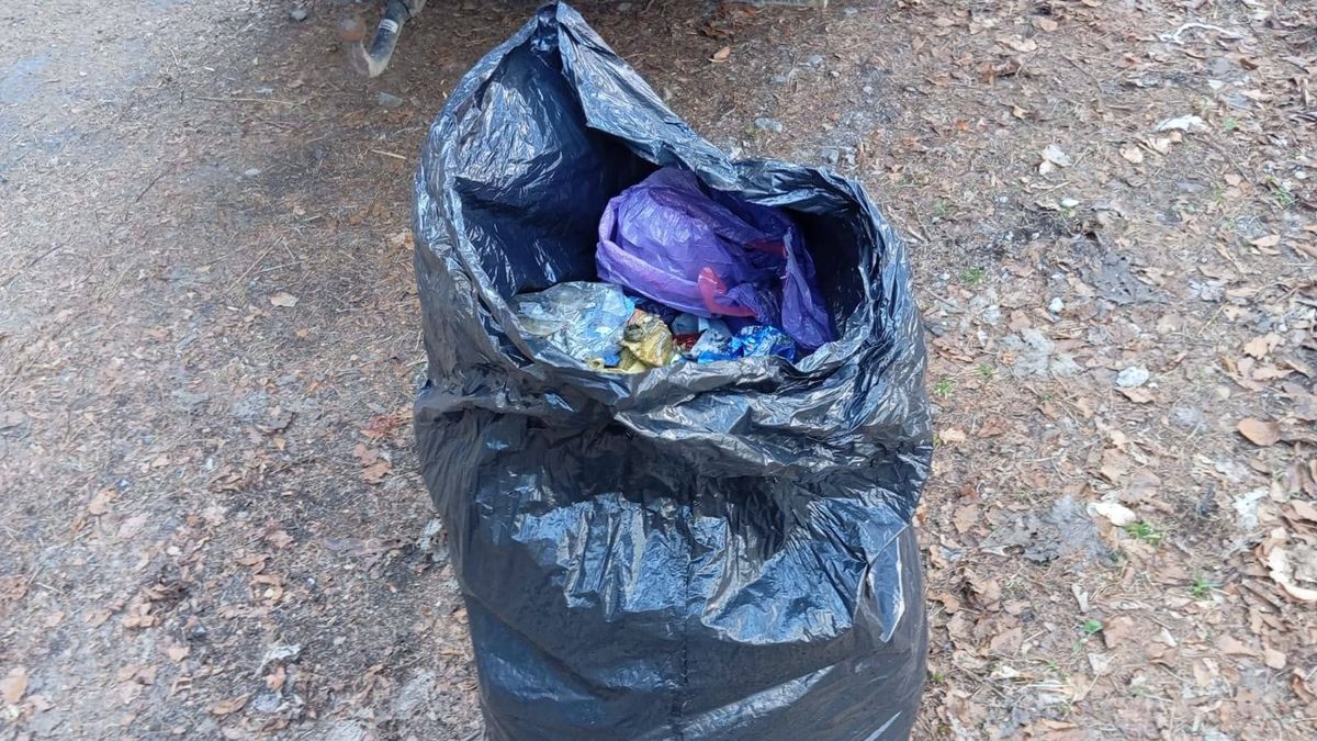 Nadleśnictwo "Śnieżka" pokazuje, co ludzie wywożą do lasu