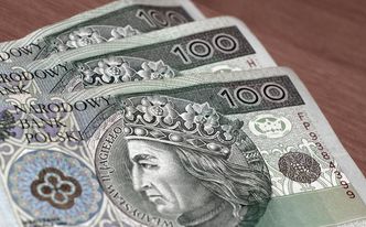 Kursy walut. Dwie polskie instytucje w centrum uwagi