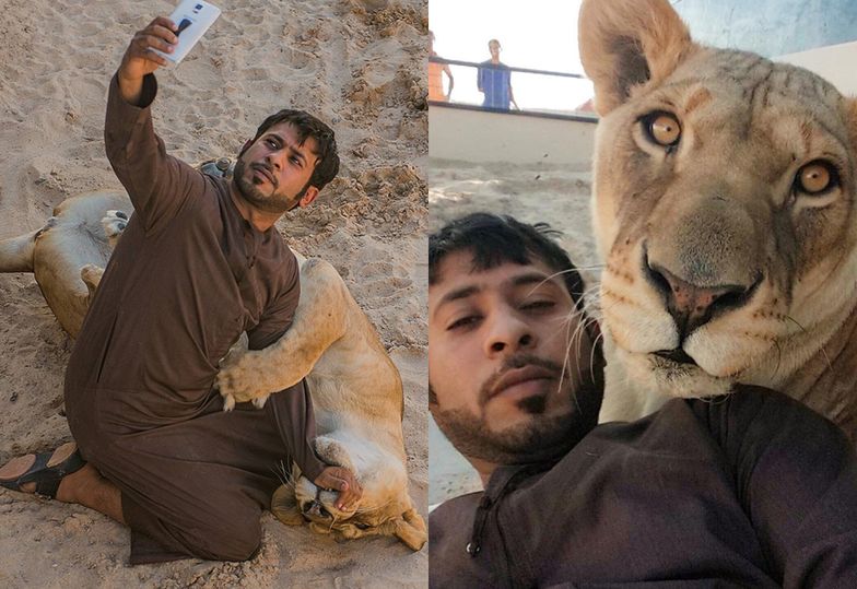 Nowa moda na Instagramie: bogacze chwalą się dzikimi kotami