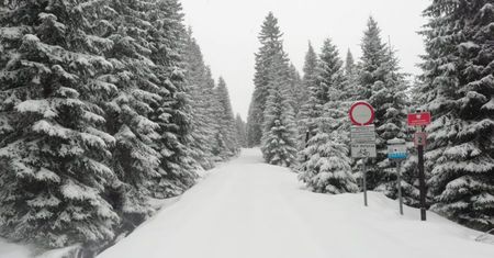 Tylko zobaczcie to zdjęcie z gór. Nagle zrobiło się całkiem biało
