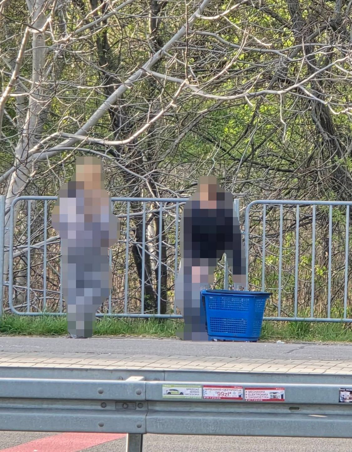 Nastolatkowie wynieśli koszyk zakupowy z Lidla
