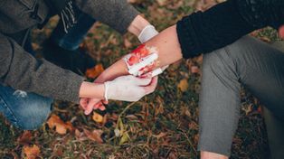 Łódź: Pogryzienia przez psy. Statystyki. Ile było takich interwencji w ostatnim czasie?