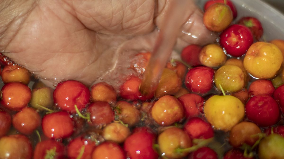 Acerola to cenny owoc pełen antyoksydantów