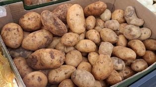 Bosacka pokazała zdjęcie z zakupów. Wielu Polaków nabiera się na takie ziemniaki