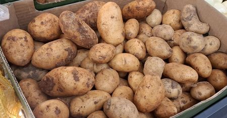 Bosacka pokazała zdjęcie z zakupów. Wielu Polaków nabiera się na takie ziemniaki